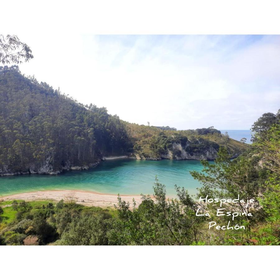 Hospedaje La Espina De เปชอน ภายนอก รูปภาพ